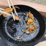 脳科学とか知らんけどキャンプが子供に与えた影響を話してみる。